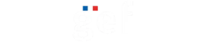 gef-logo 1.1